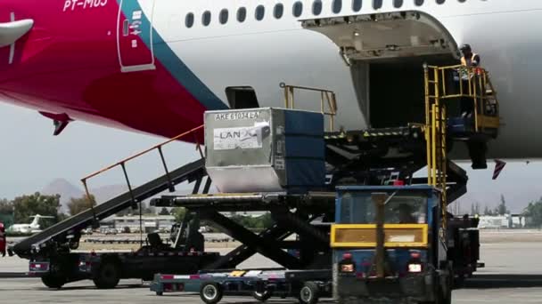Carregamento de carga no avião — Vídeo de Stock