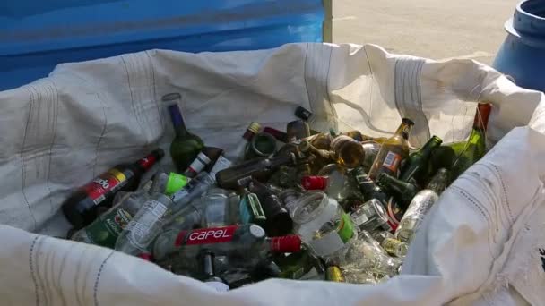 Bolsa de reciclaje llena de botellas de alcohol — Vídeo de stock