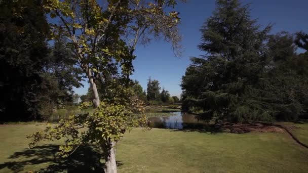 Lagoa e vista de árvores — Vídeo de Stock