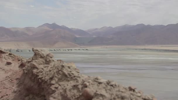 Cama del lago en el desierto — Vídeos de Stock