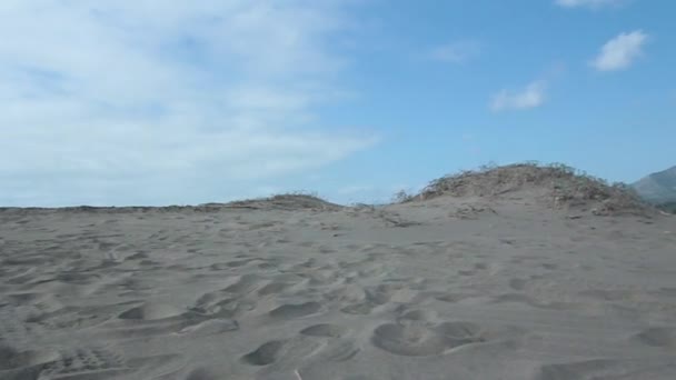 Sanddünen mit Folie und Stadt — Stockvideo