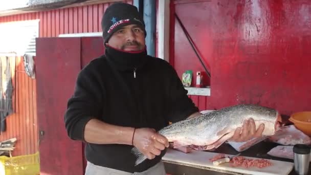 Pescador muestra salmón — Vídeos de Stock