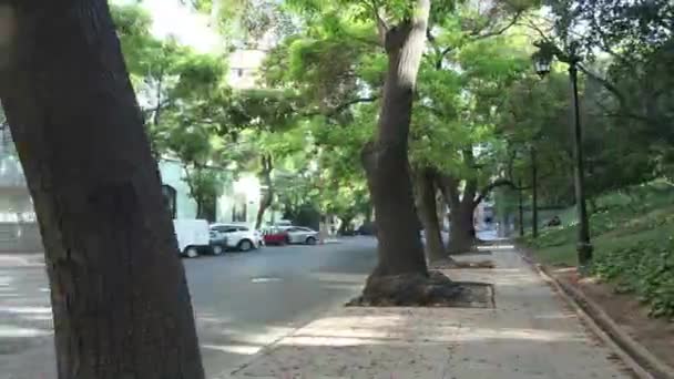 Parque ao lado da rua — Vídeo de Stock