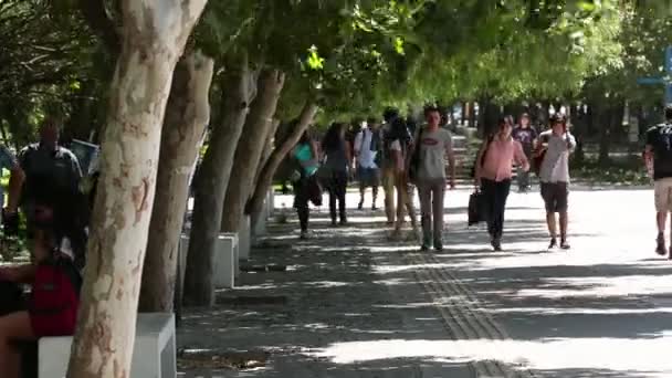 Uczniowie mówią ad pieszo w kierunku kamery — Wideo stockowe