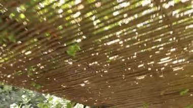 Bambu tavan bahçesinde