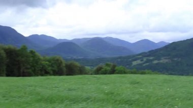 Yeşil çayır hills