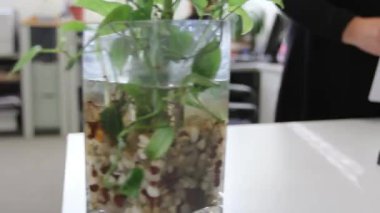office belgelerinde zımbalama kadın