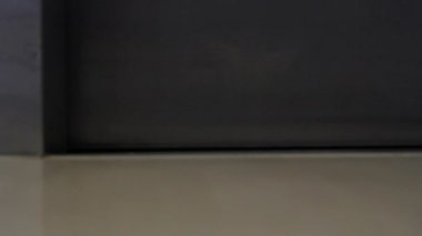 Kadın yaprakları Asansör