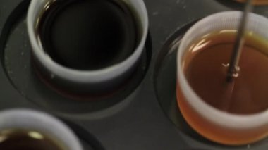 Tüp bebek örnekleri