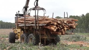 Bir ormanda çalışan hasat