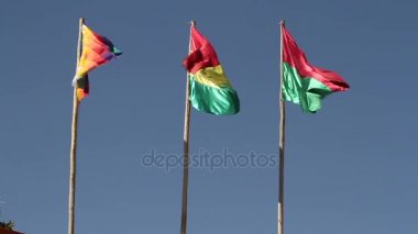Bolivya bayrak sallayarak