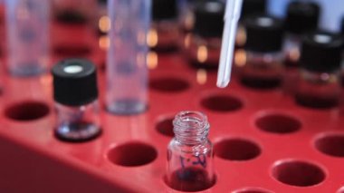 Tüp bebek örnekleri