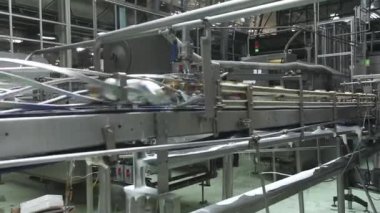 Bira kutuları Konveyör bant üzerinde