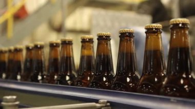 Bira şişe Konveyör bant