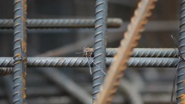 Takviye inşaat barlar