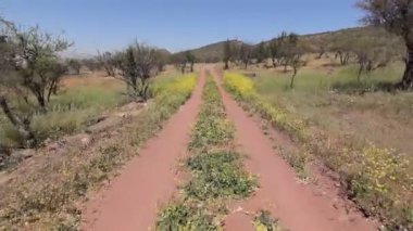 Ülke toprak yolda araba