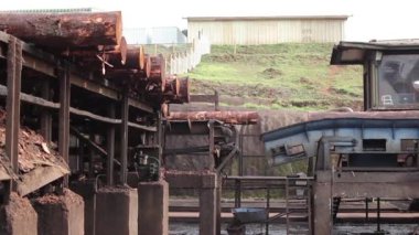 Bir ormanda çalışan hasat