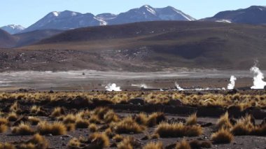 Şili çöl geysers