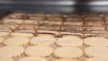 Hazırlanan kurabiye yakın çekim