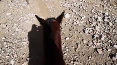 Bir at binme üzerinden Pov