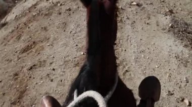Bir at binme üzerinden Pov