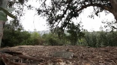 Enkaz ile Orman Zemini