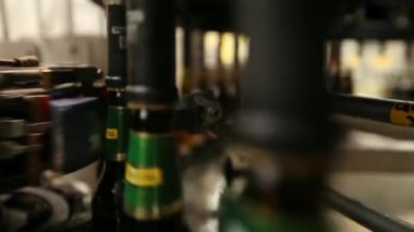 Bira şişe Konveyör bant