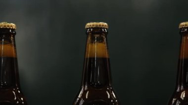 Bira şişe Konveyör bant