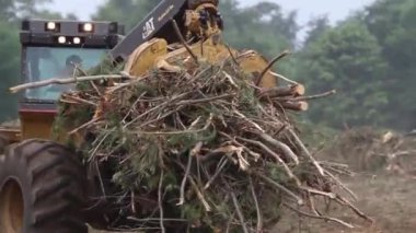 Orman ahşap işleme sanayi makinesi
