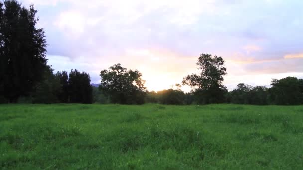 Campo hierba colinas — Vídeos de Stock