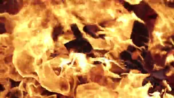 Fiamme sul cielo notturno — Video Stock