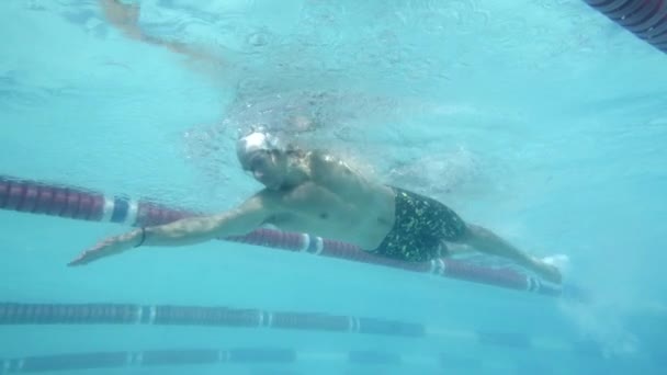 Plavec, plavání v bazénu — Stock video