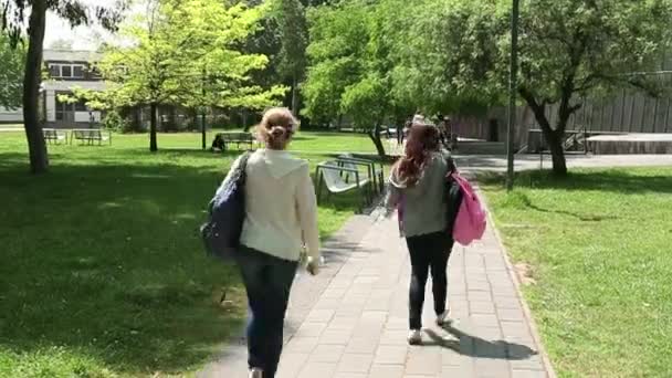 Vrouwen lopen weg van de camera — Stockvideo