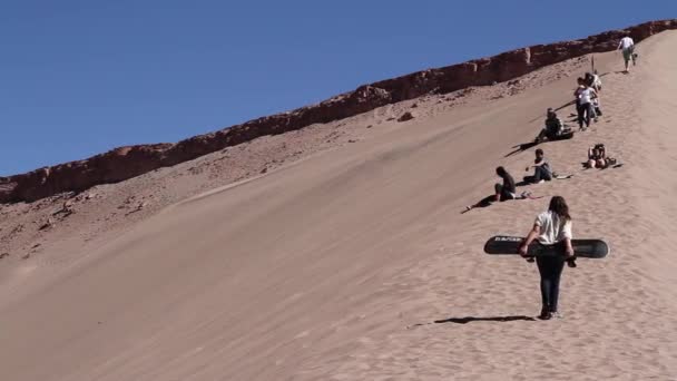 Mensen sandboarden in duinen — Stockvideo