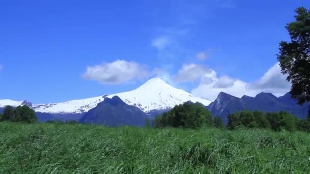Széles lövés vulkán erdő — Stock videók