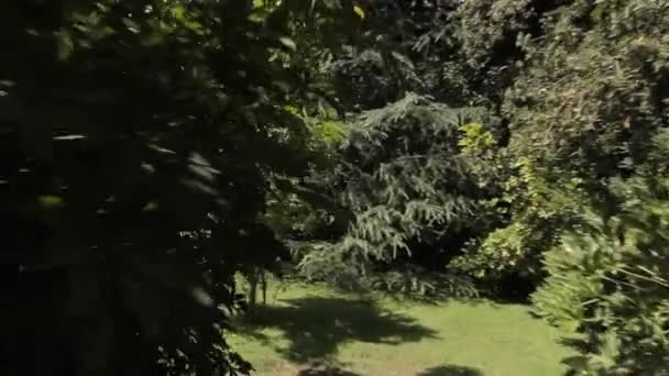 Utomhus trädgård pool — Stockvideo