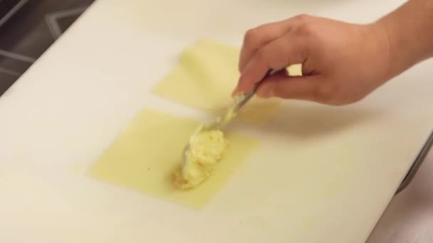 Hand vulling op bladen van pasta — Stockvideo