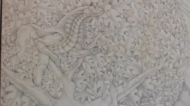 Drawing of a snake and leaves — Stock Video