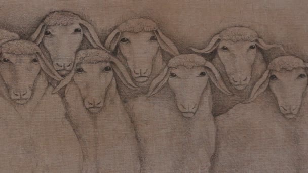 羊の群れの図面 — ストック動画