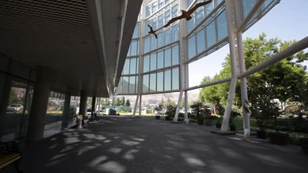 A semi-enclosed terrace garden in a office building — Stock Video