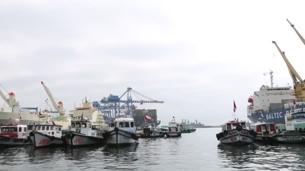 Kleine boten in de haven — Stockvideo