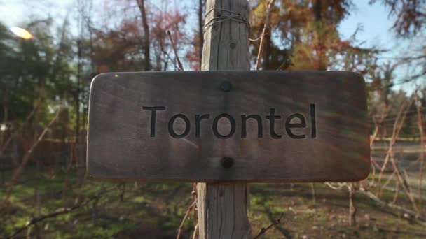 Torontel wine field sign — Stock Video