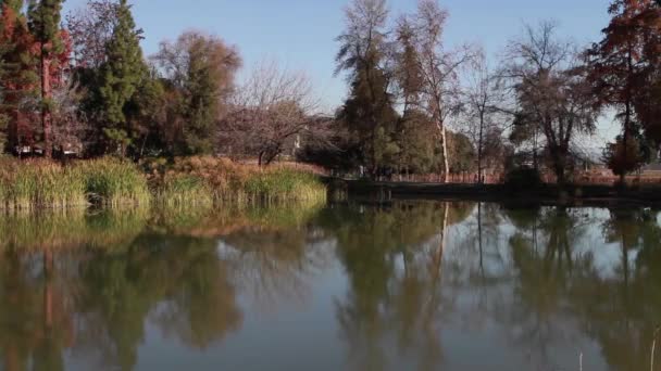 泻湖与植被景观 — 图库视频影像