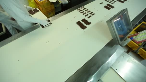 Produzione di cioccolato su nastro trasportatore industriale — Video Stock