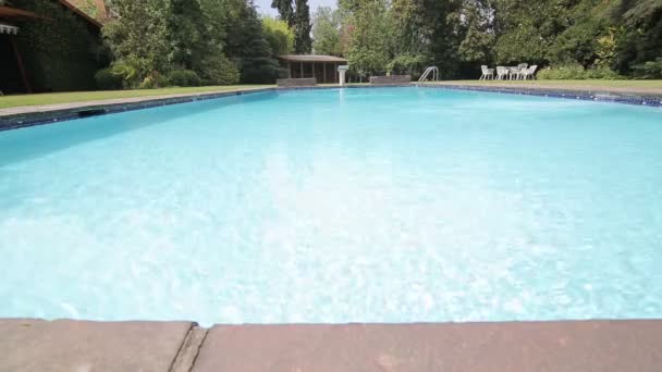 Backyard swimming pool — Stock Video
