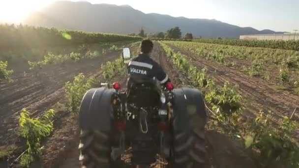 Tracteur travaillant sur un champ — Video