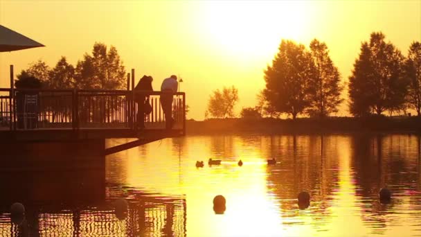 Hotel de lujo Lake — Vídeos de Stock