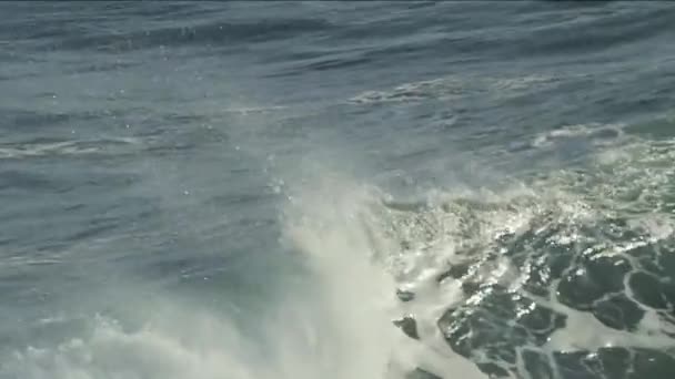 Vagues de l'océan s'écrasant — Video