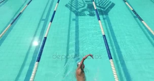 Schwimmer schwimmt im Pool — Stockvideo