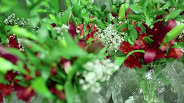 Vases with red alstroemerias — Stock Video